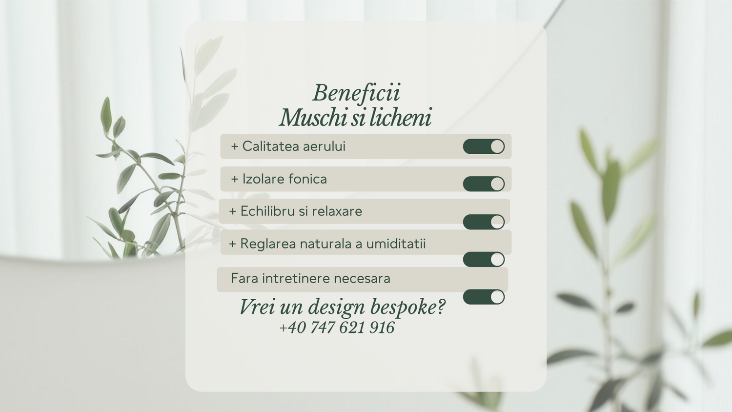 Beneficii licheni stabilizati: calitatea aerului, izolare fonica, reglarea umiditatii, izolatie termica. Pereti cu licheni cu design bespoke