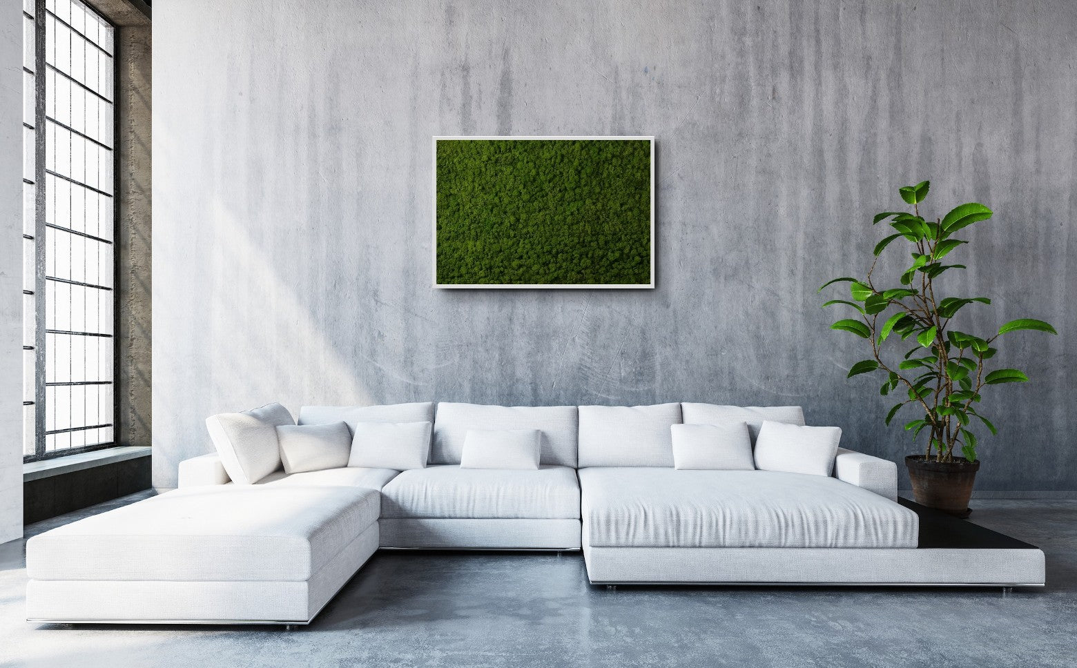 Tablou mare licheni verde inchis decoratiune perete living cu coltar mare gri deschis si plante de apartament