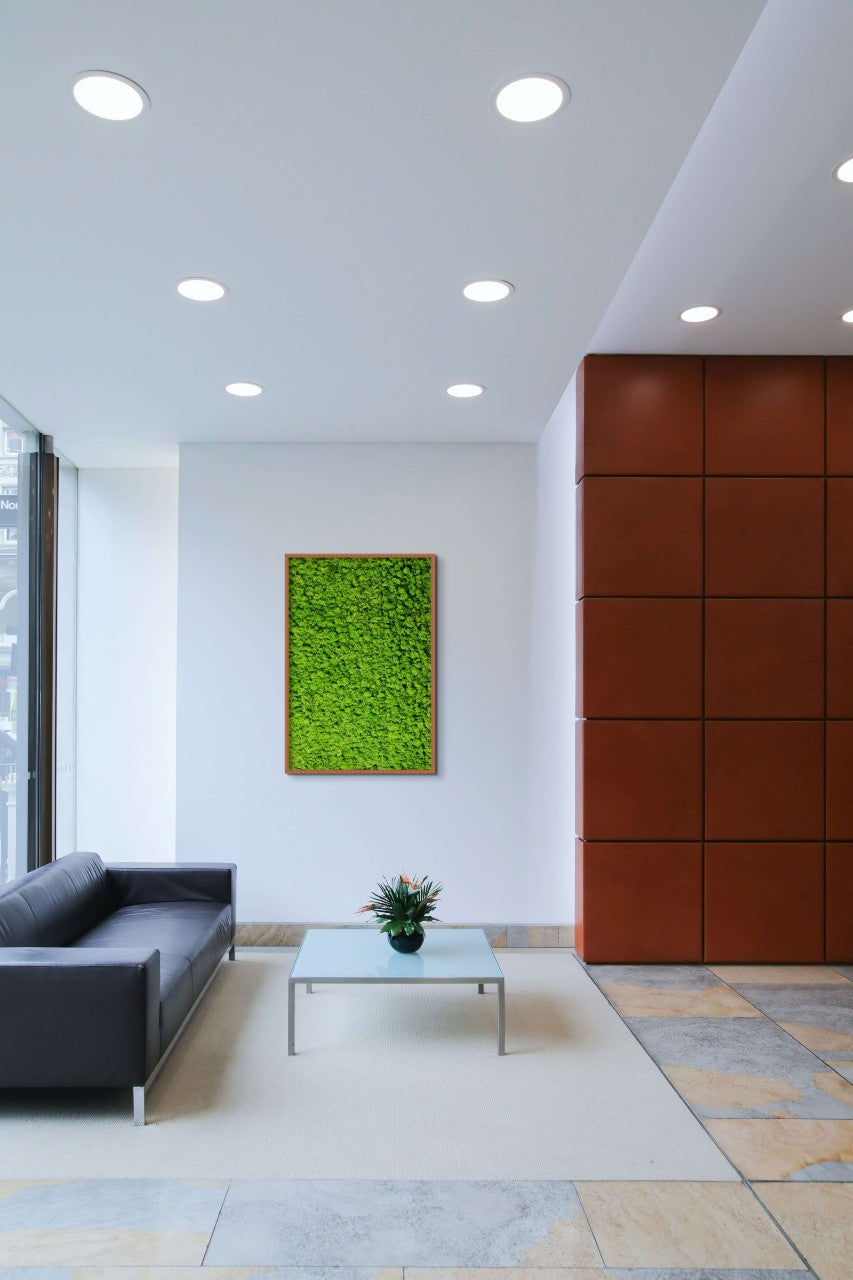 Amenajare spatiu birou sau decoratiune perete living 